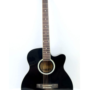 Hih accoustic guitar